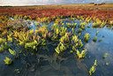 BUITEN BEELD Foto: 233518