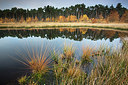 BUITEN BEELD Foto: 233521