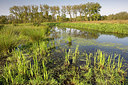 BUITEN BEELD Foto: 233553