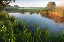 BUITEN BEELD Foto: 233555