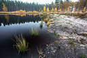 BUITEN BEELD Foto: 233609