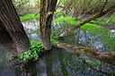BUITEN BEELD Foto: 233623