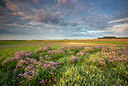 BUITEN BEELD Foto: 233631