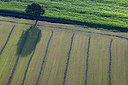 BUITEN BEELD Foto: 233644