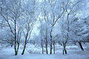 BUITEN BEELD Foto: 233660