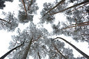 BUITEN BEELD Foto: 233705