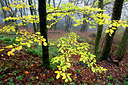 BUITEN BEELD Foto: 233717