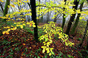 BUITEN BEELD Foto: 233733
