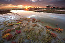 BUITEN BEELD Foto: 233740
