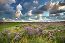 BUITEN BEELD Foto: 233750