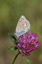 BUITEN BEELD Foto: 233808