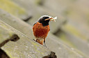 BUITEN BEELD Foto: 233872