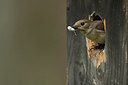 BUITEN BEELD Foto: 233959