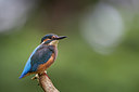 BUITEN BEELD Foto: 233965