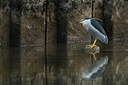 BUITEN BEELD Foto: 233971