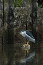 BUITEN BEELD Foto: 233972