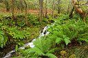 BUITEN BEELD Foto: 234084