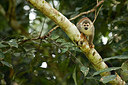 BUITEN BEELD Foto: 234236