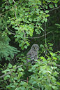 BUITEN BEELD Foto: 234251