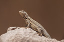 BUITEN BEELD Foto: 234299