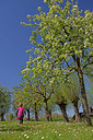 BUITEN BEELD Foto: 234345