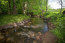 BUITEN BEELD Foto: 234357