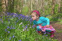 BUITEN BEELD Foto: 234377