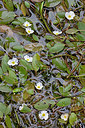 BUITEN BEELD Foto: 234409