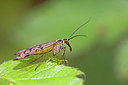 BUITEN BEELD Foto: 234447