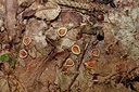 BUITEN BEELD Foto: 234488