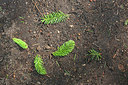 BUITEN BEELD Foto: 234497