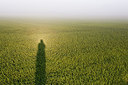 BUITEN BEELD Foto: 234520