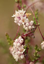 BUITEN BEELD Foto: 234569
