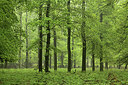 BUITEN BEELD Foto: 234575