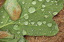 BUITEN BEELD Foto: 234587
