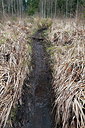 BUITEN BEELD Foto: 234630