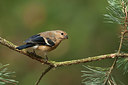 BUITEN BEELD Foto: 234733