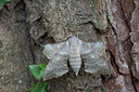 BUITEN BEELD Foto: 234755
