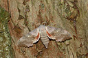 BUITEN BEELD Foto: 234785