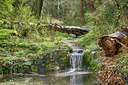 BUITEN BEELD Foto: 234809