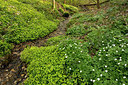BUITEN BEELD Foto: 234812