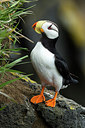 BUITEN BEELD Foto: 234833
