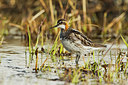 BUITEN BEELD Foto: 234856
