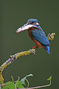 BUITEN BEELD Foto: 234880