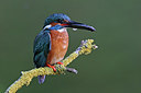 BUITEN BEELD Foto: 234902
