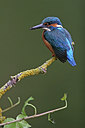 BUITEN BEELD Foto: 234903