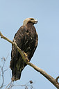 BUITEN BEELD Foto: 234916
