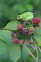 BUITEN BEELD Foto: 235056
