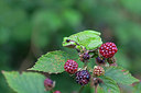 BUITEN BEELD Foto: 235062