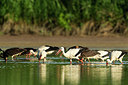 BUITEN BEELD Foto: 235072